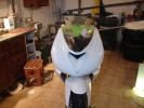 DSC01682.jpg