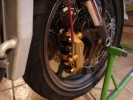 DSC01687.jpg