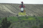 Jerez-by-chilly (1).jpg