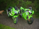 Kawasaki---ZX6-9 002.jpg