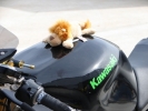 Pannonia-KawaMotor05 (66).jpg